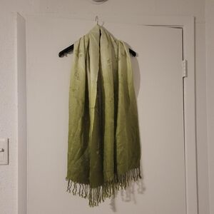 Green Ombre Embroidered Fringe Scarf